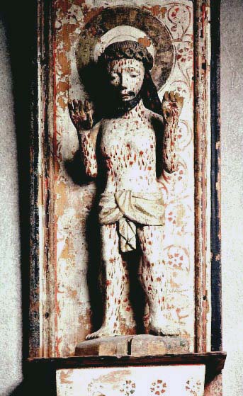 Bild: 9005022 (9005022.jpg). Motiv: sm�rtoman. Foto: Lennart Karlsson