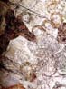 Bild: 9449618 (9449618.jpg). Motiv: Baals profeter f�r sitt straff, detalj. Foto: Lennart Karlsson