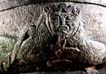 Bild: 9503815 (9503815.jpg). Motiv: bicorporates. Foto: Lennart Karlsson